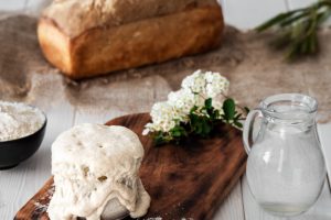 starter sourdough